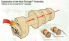 3M - Combat Arms Earplugs 4.1 with Box