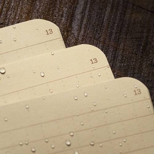 Rite in the Rain - All-Weather Notebook - 3 1/4 x 4 5/8" - 3 pcs - 971TFX-M - Tan 